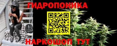 гидропоника Кунгур