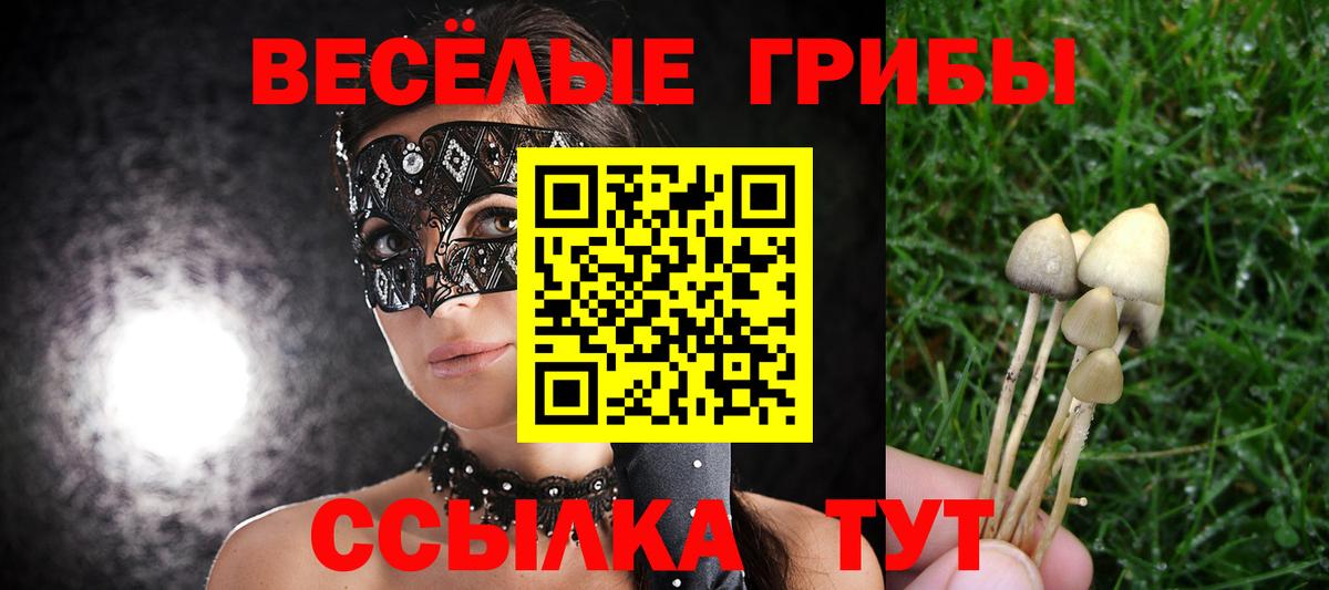 Псилоцибиновые грибы прущие грибы  Вход с VPN  Зима 